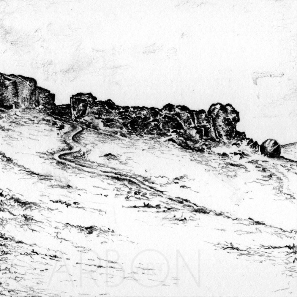 Cow and Calf Rocks by Carbon Art