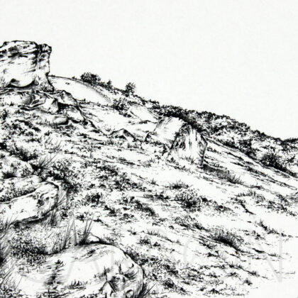 Otley Chevin in Yorkshire print by Carbon Art